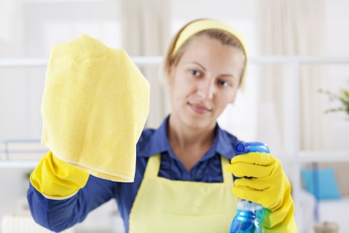 Advanced rug cleaning process