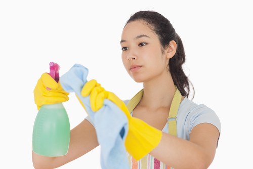 Professional deep cleaning in action