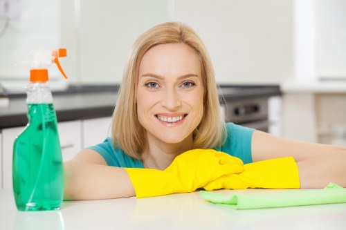Eco-friendly carpet cleaning solutions