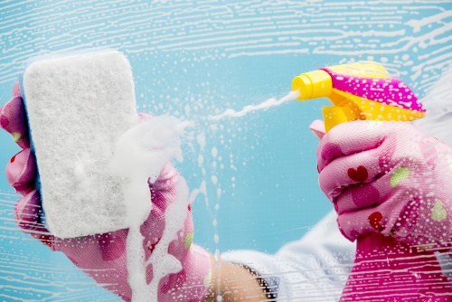 Professional cleaning services by Surrey Cleaners