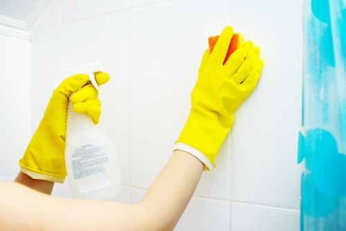 Expert cleaners handling bathroom cleaning in Surrey
