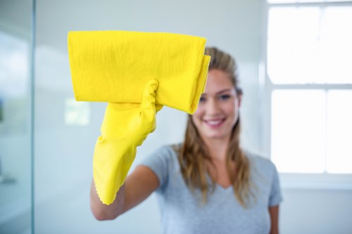 Surrey cleaning service professionals at work