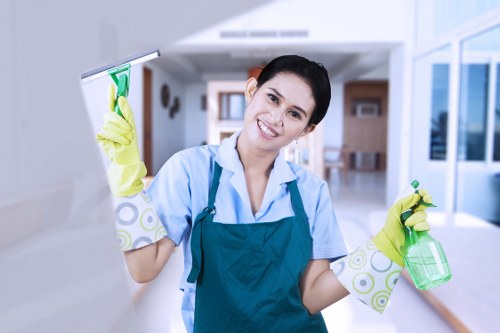 Technician applying eco-friendly cleaning agents to an oven